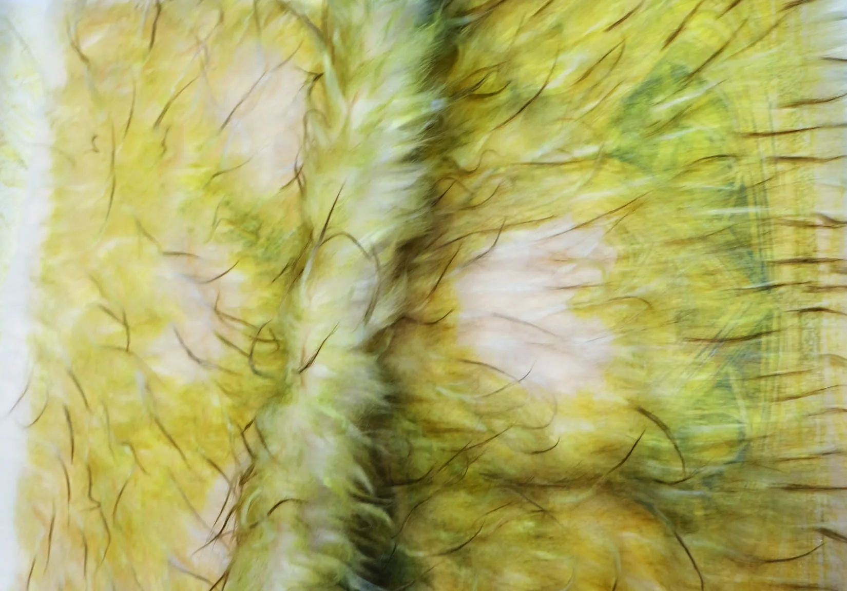 Frau Holle archive image 30